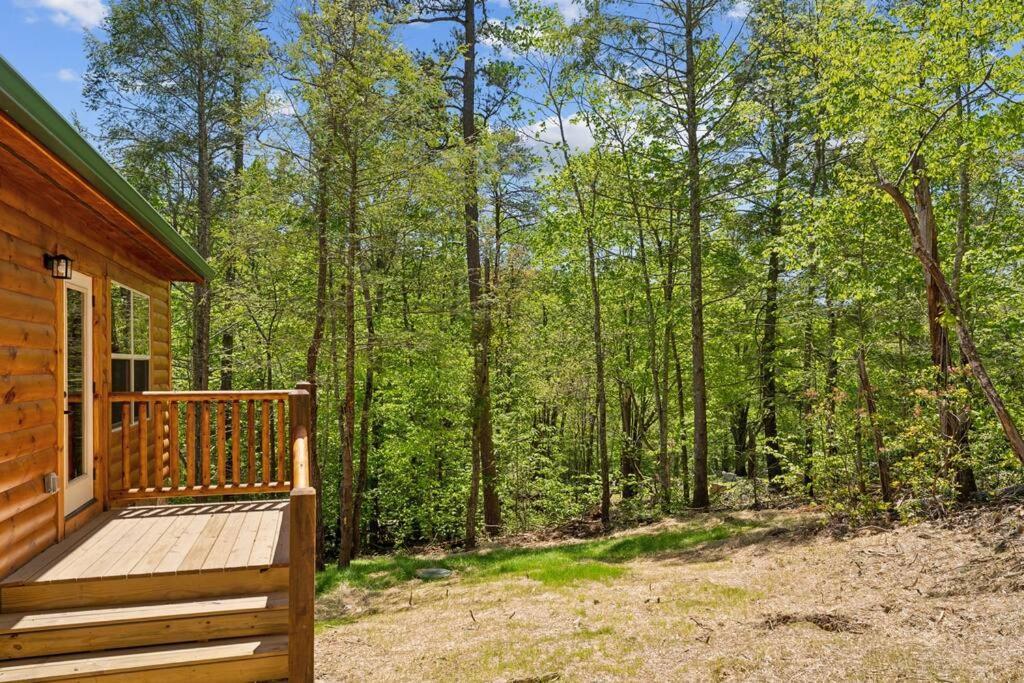 Baby Bear Den Villa Гетлинбург Екстериор снимка